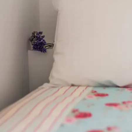 巴嘎德萨尔葡萄酒宾馆 招待所 阿威罗