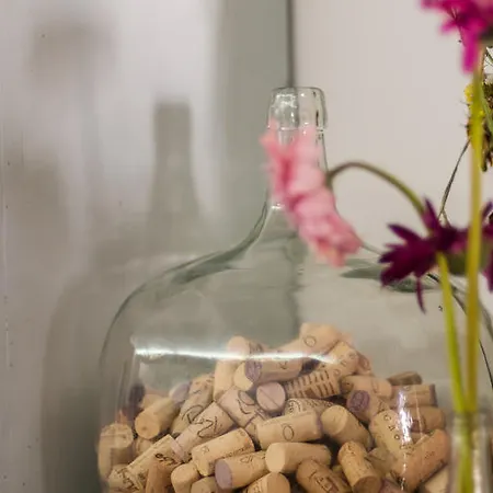 Гостевой дом Baga De Sal Wine Авейру