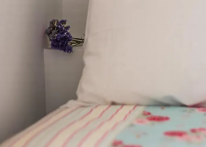 Baga De Sal Wine Pensjonat Aveiro