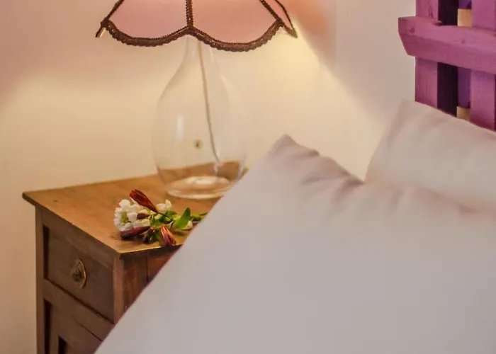 Baga De Sal Wine 3* אבאירו