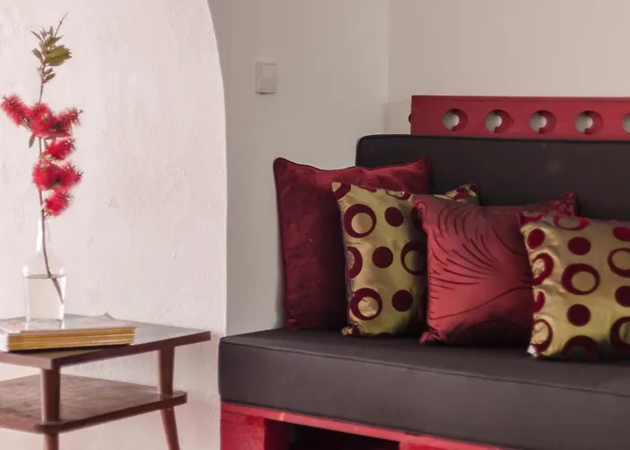 Pensjonat Baga De Sal Wine Aveiro