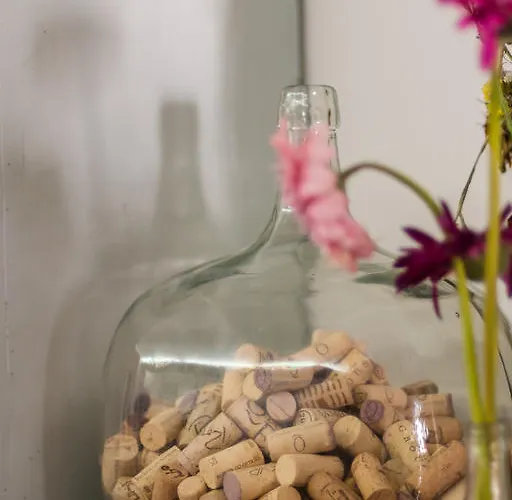 Pensjonat Baga De Sal Wine Aveiro